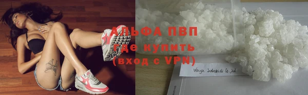 дмт Ладушкин