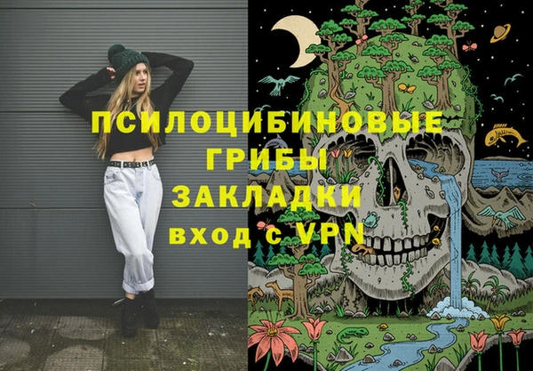 ГАЛЛЮЦИНОГЕННЫЕ ГРИБЫ Ростов